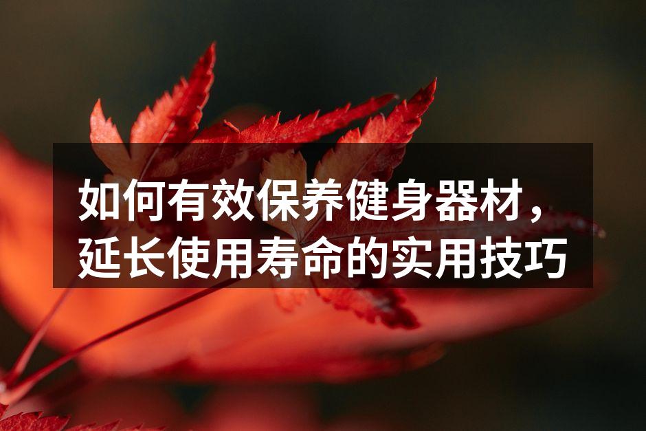 健身器材定期清洁