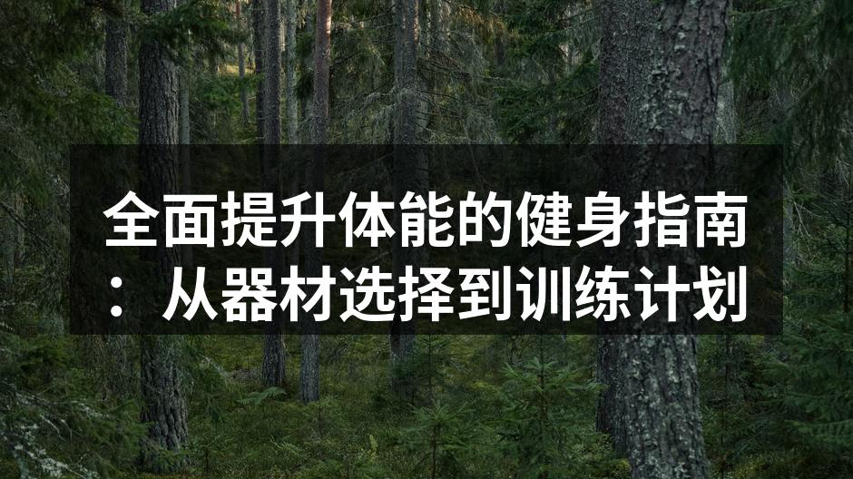 全面提升体能的健身指南：从器材选择到训练计划